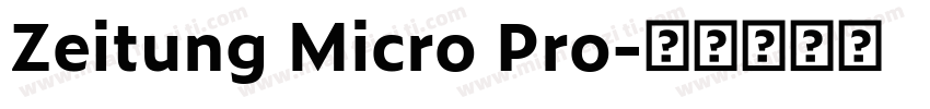 Zeitung Micro Pro字体转换